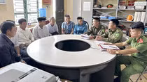 Như hoa hướng dương