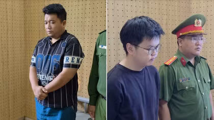 Vận chuyển tôm hùm giống trái phép qua biên giới, hai đối tượng bị khởi tố 