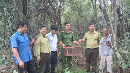 Bắt được trăn gấm quý hiếm người dân trình báo Công an xã 