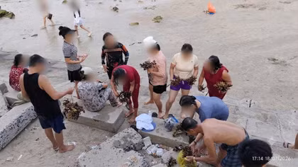 Truy tìm nhóm du khách bẻ san hô khi tắm biển Hòn Chồng - Nha Trang