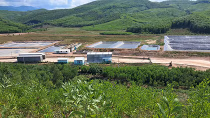 Sau phản ánh của Báo Công an nhân dân, một chủ trại heo bị phạt 180 triệu đồng