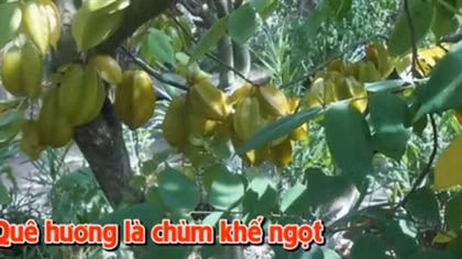 Bài cuối: Hãy nhớ câu “cáo chết ba năm…”