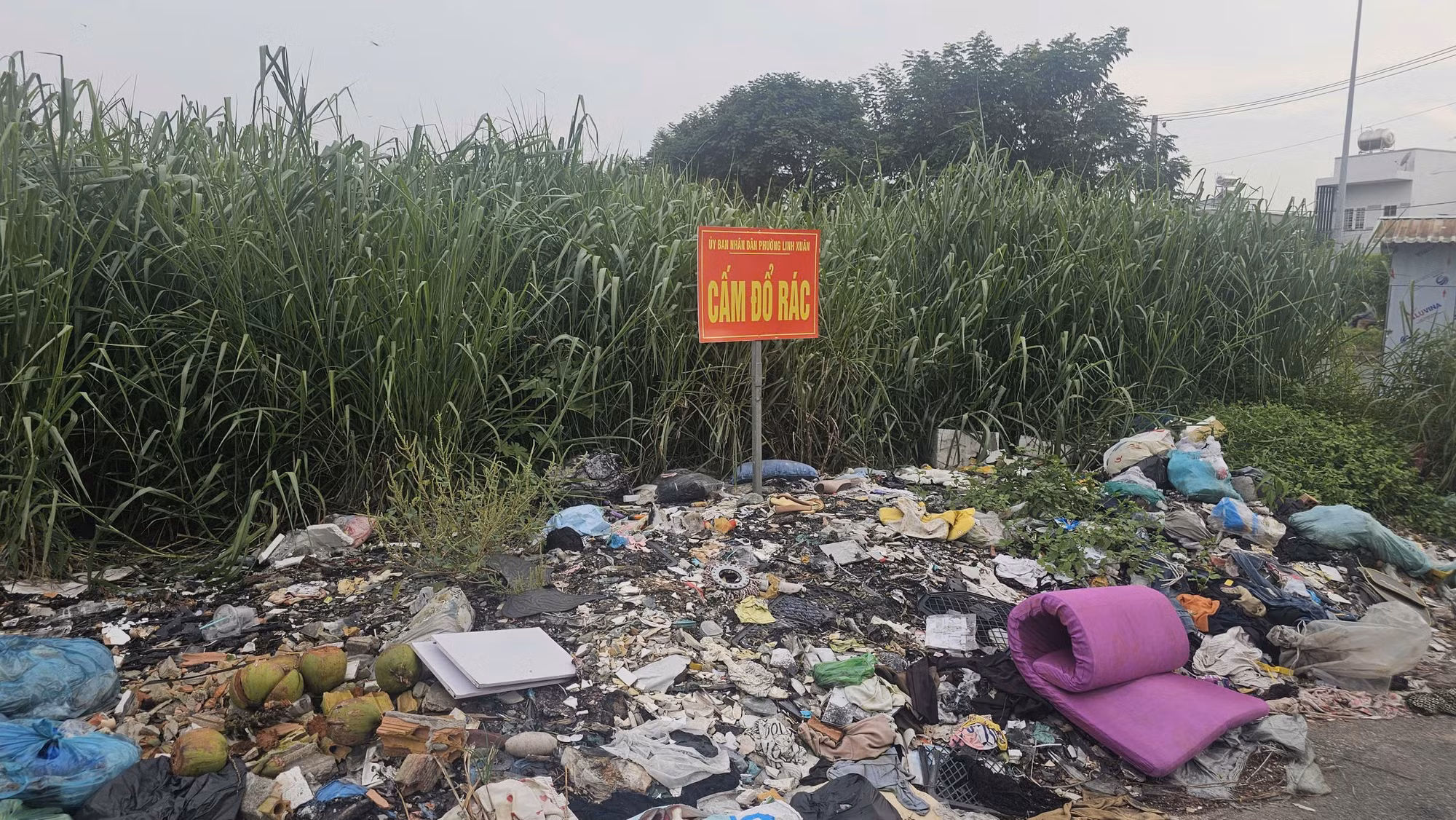 anh.jpg