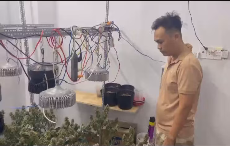 Tổ công tác 363 phát hiện 2 đối tượng tàng trữ súng đạn và trồng cần sa trái phép -1