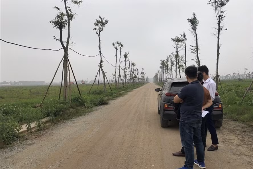 Quái chiêu “bùa