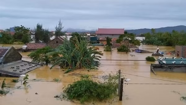 Giúp dân đắp đê ngăn lũ trái mùa cứu lúa ảnh 2