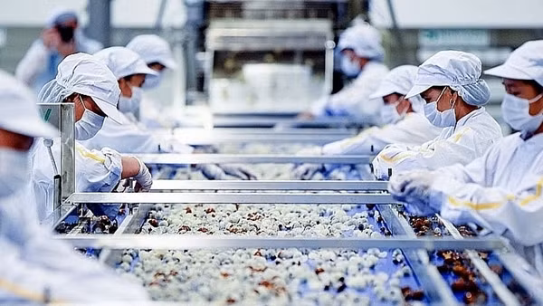 Việt Nam thăng hạng trên bảng xếp hạng chính phủ tốt ảnh 2