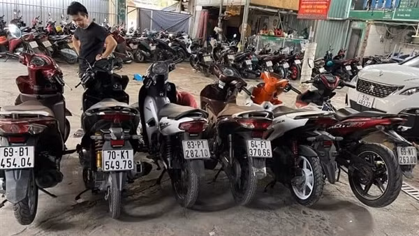 Xóa sổ đường dây tiêu thụ xe gian qua biên giới