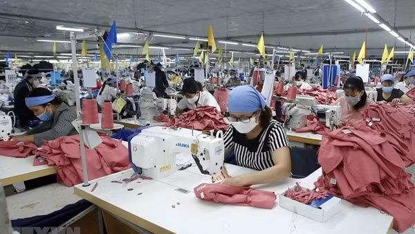 “Tăng lương tối thiểu vùng”: Một miếng khi đói bằng một gói khi no! ảnh 2