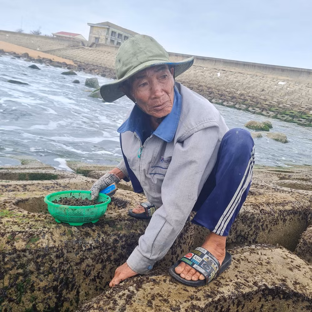 Đời mưu sinh nghề rong biển bên ghềnh đá -0