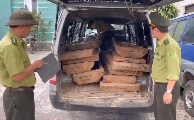 Tài xế ô tô chở gỗ lậu “thông chốt” bỏ lại tang vật để trốn chạy -0