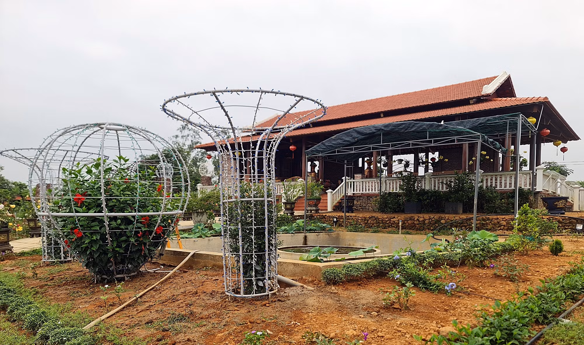 Rà soát công trình trang trại trên đất chưa có “sổ đỏ” của Phó Bí thư Huyện ủy -0