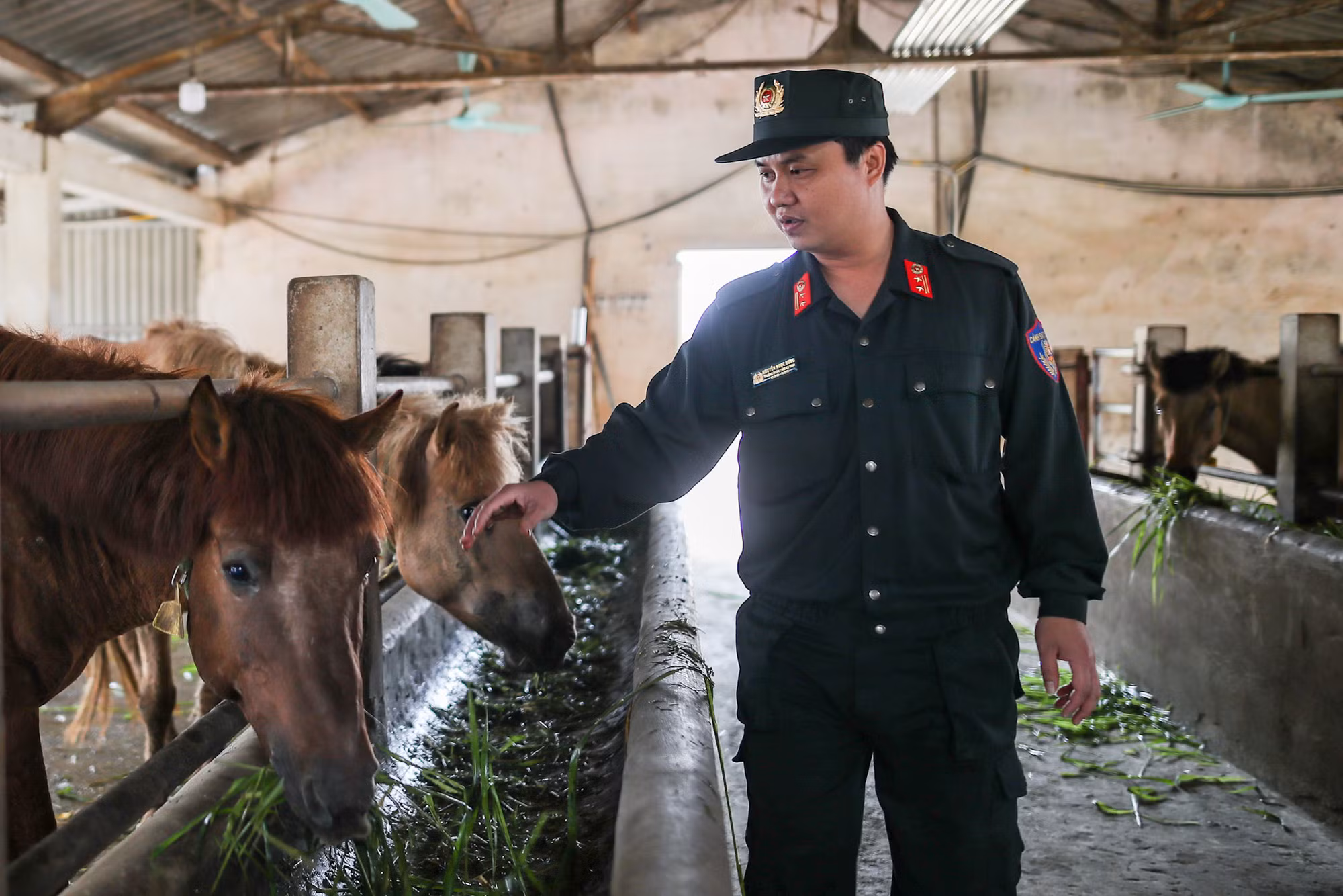 Kỵ binh CAND: Hiện đ -0