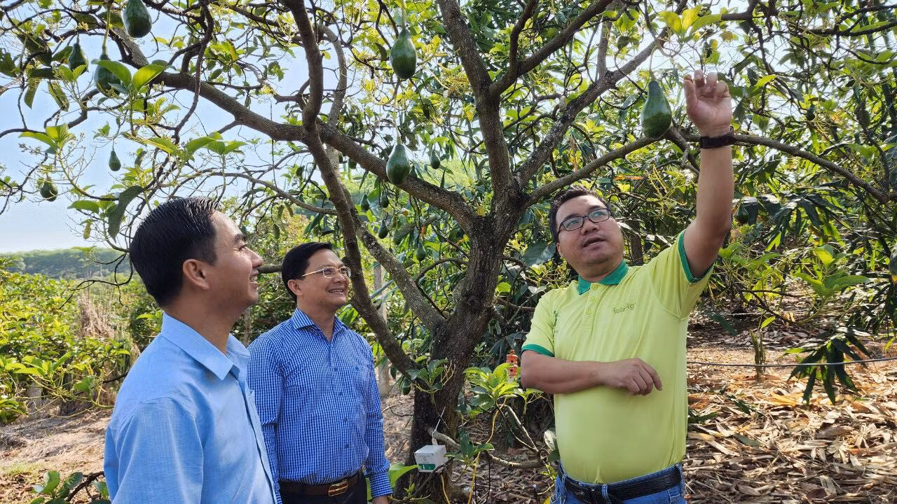 Nhật ký điện tử cho từng cây ăn quả -0