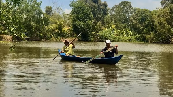Cảnh báo cá sấu xuất hiện trong ao hồ, kênh rạch ở Bạc Liêu