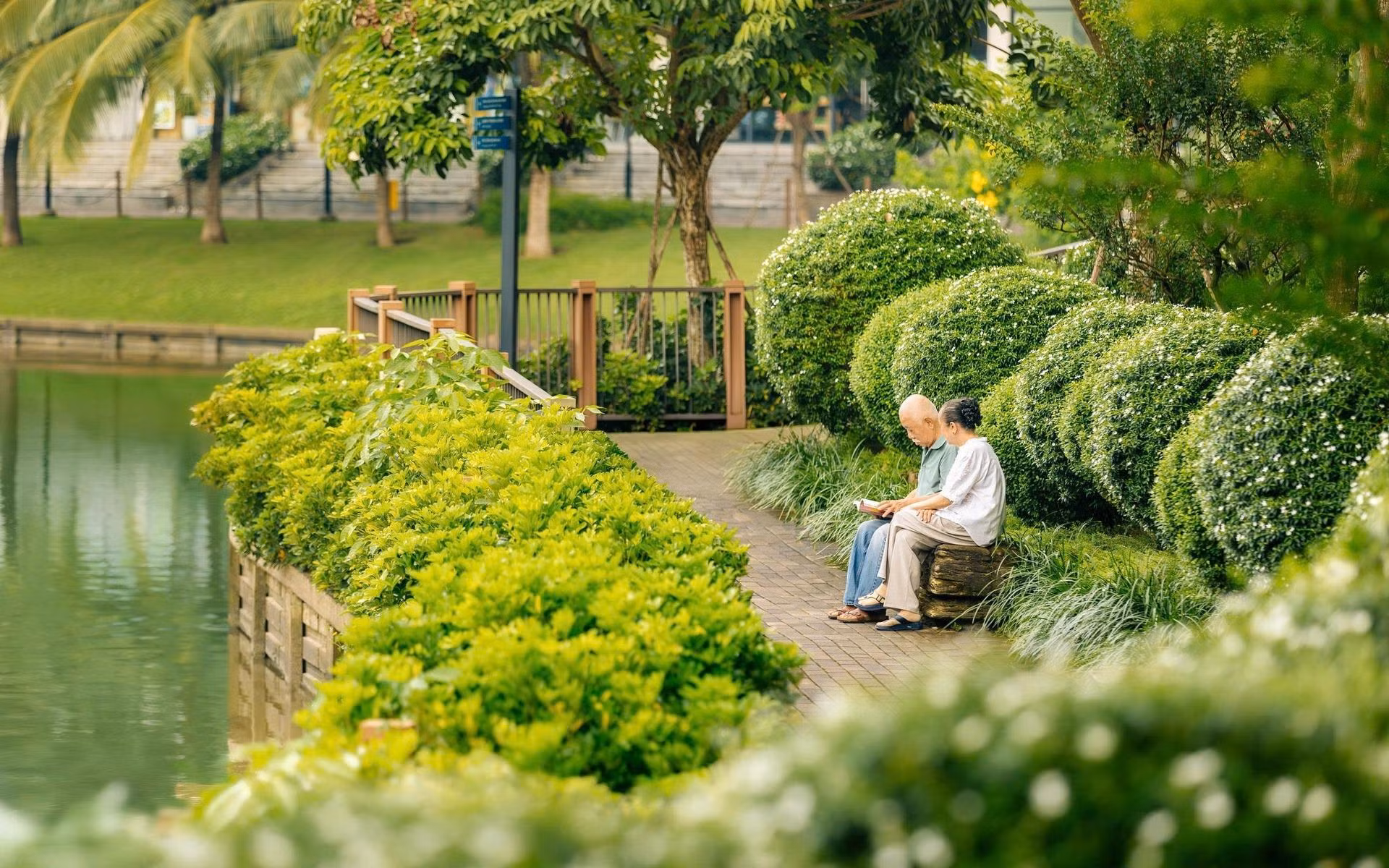 Từ quân Mã của Staunton đến tư duy chăm chút trải nghiệm khách hàng để tạo khác biệt -2