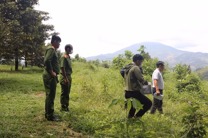  “Khổ chủ” tóa hỏa vì 2ha điều bị cưa trắng -0