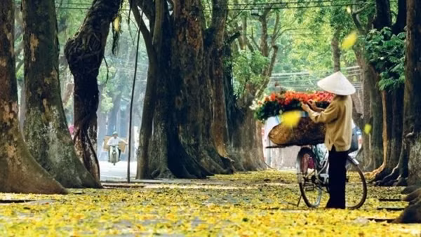 Miền Bắc se lạnh, Nam Bộ chiều tối mưa dông