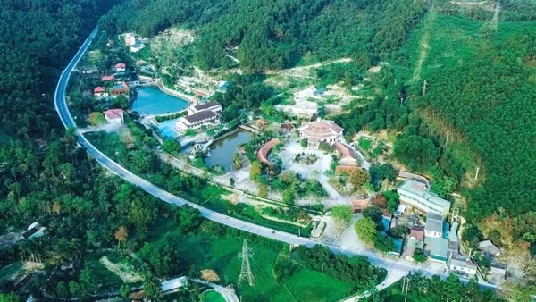 HAITHUONG1-1728348255428.jpg