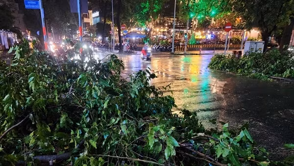 Mưa lớn kéo dài, cây xanh bật gốc đè 4 người bị thương