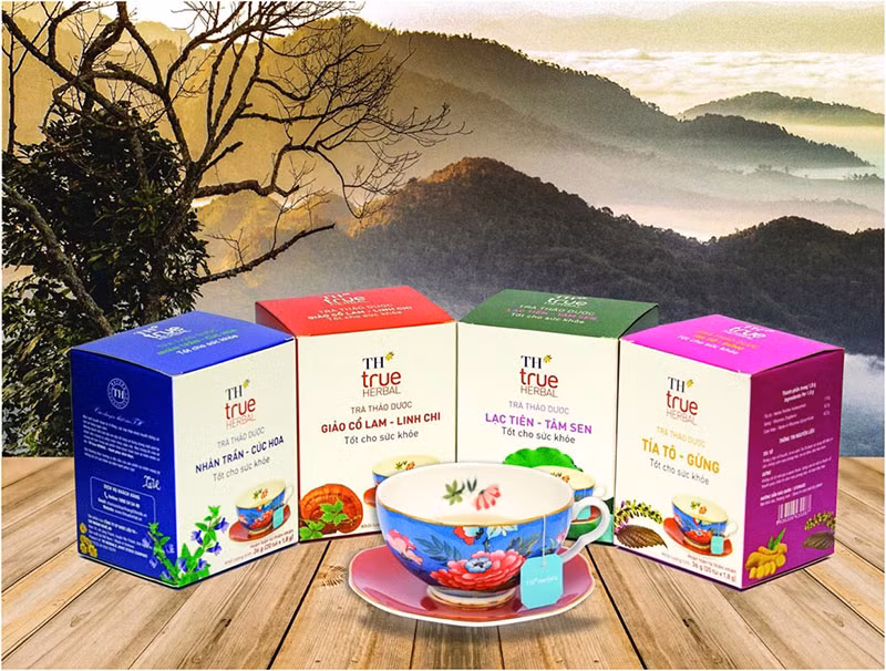 Định hình con đường dược liệu Việt: Tư duy chiến lược của Anh hùng Lao động Thái Hương -0