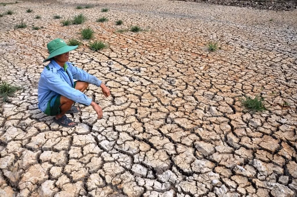 El Nino rất mạnh: Cảnh báo nguy cơ hạn hán và xâm nhập mặn -0