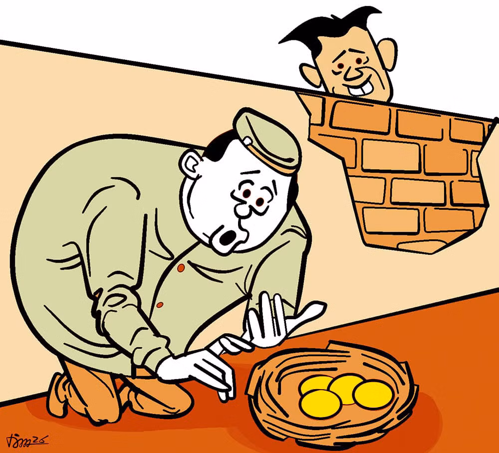 Trứng gà hàng xóm -0