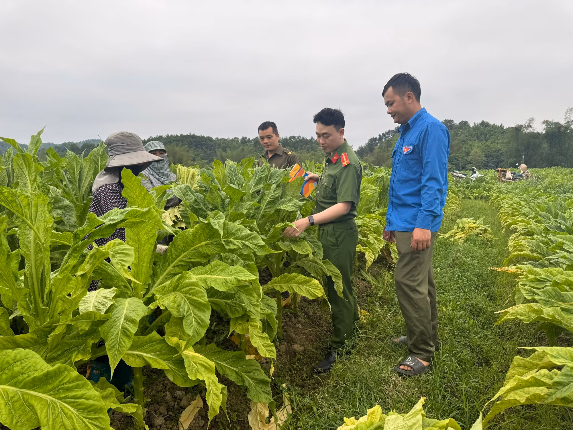 Gõ cửa từng nhà, đẩy lùi ma túy ở Nam Tuấn -0