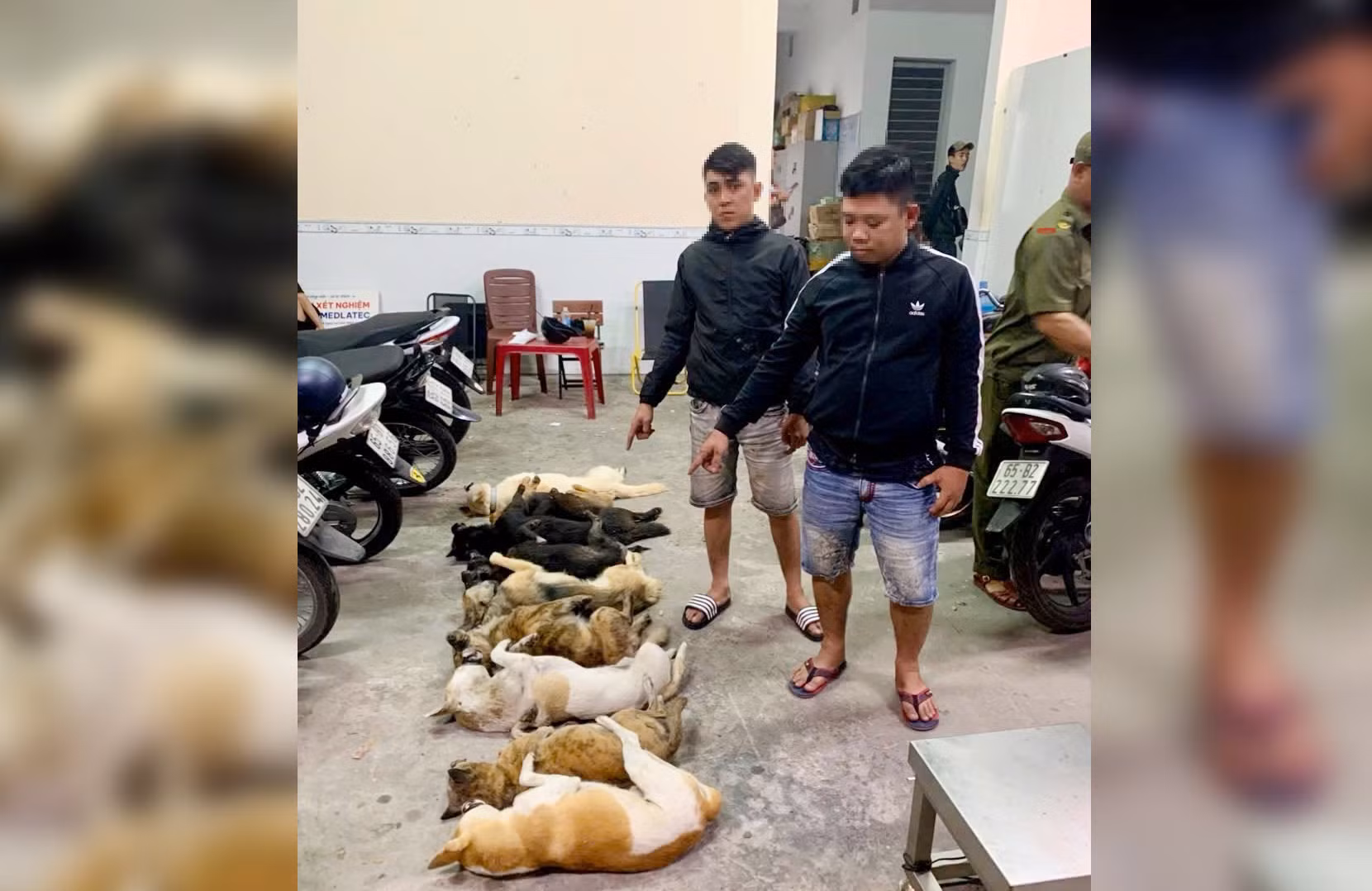 Bắt quả tang 2 “cẩu tặc” trong đêm khuya -0