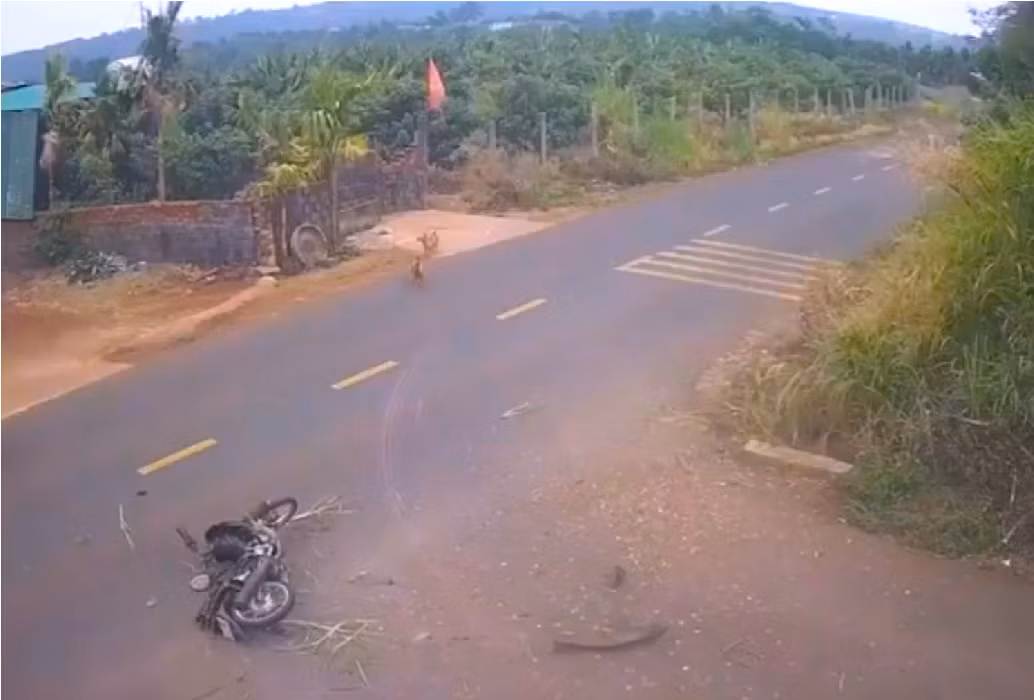 Sẽ họp báo công khai về vụ tai nạn giao thông làm nam học sinh lớp 12 tử vong -0
