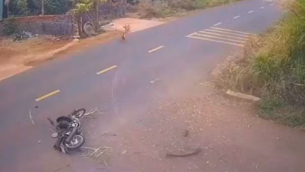 Sẽ họp báo thông tin rõ vụ tai nạn giao thông khiến 1 học sinh tử vong ở Đắk Lắk