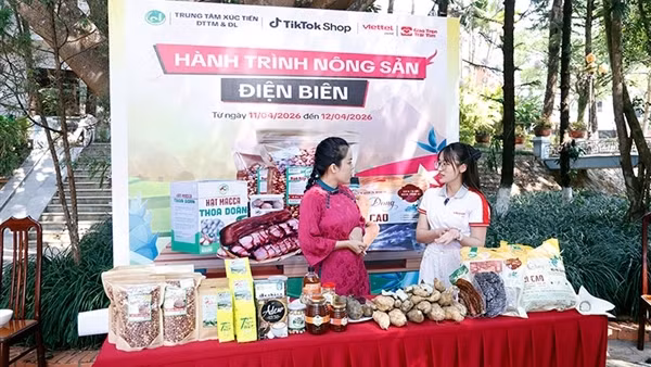 "Hành trình Nông sản Điện Biên" thúc đẩy ứng dụng thương mại điện tử