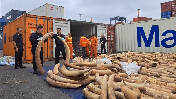 Đẩy mạnh chống buôn lậu, hàng giả vùng biển Đông Bắc