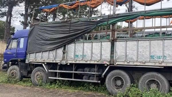 Tìm chủ sở hữu xe ô tô sử dụng giấy tờ giả