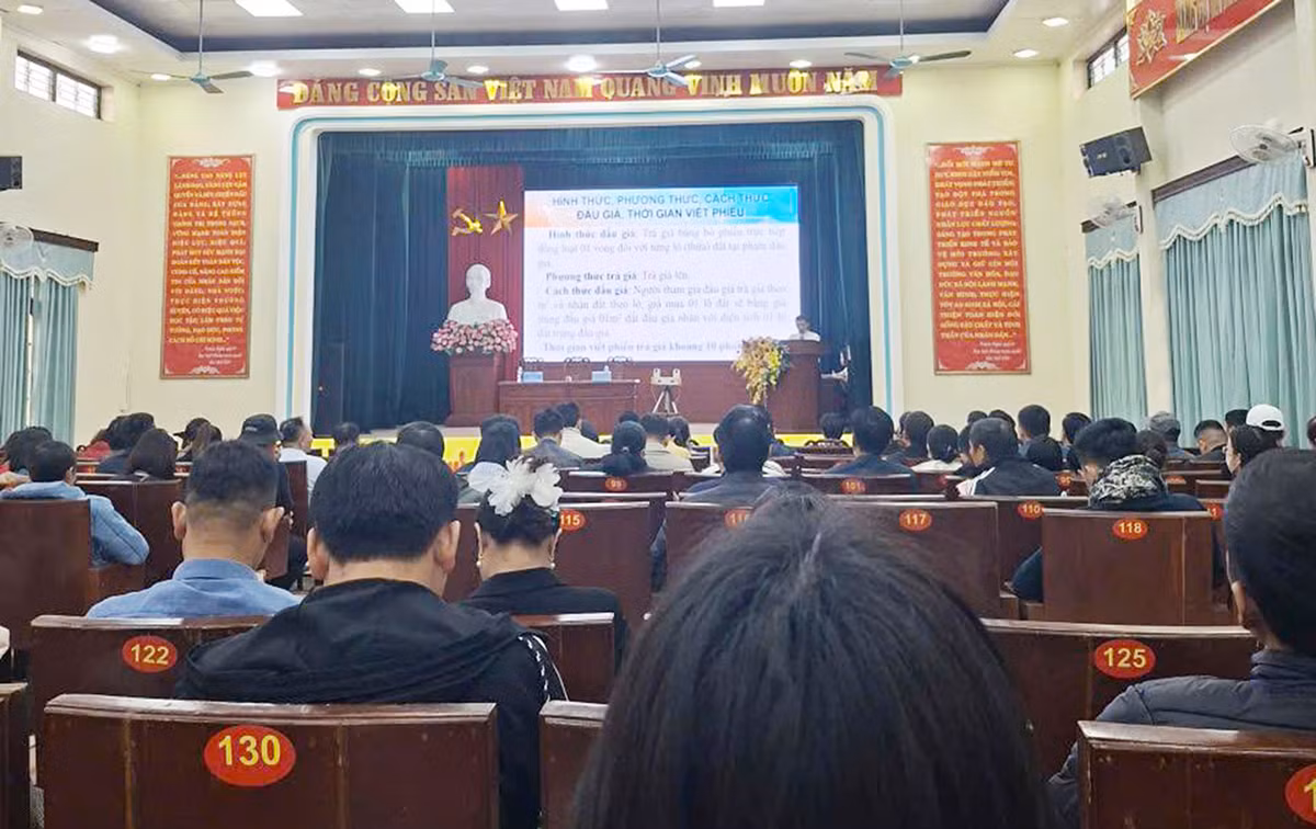 Đấu giá đất trên giấy: Tiền thật, đất ảo -0