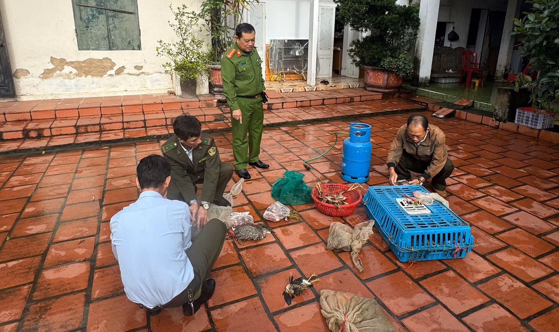Phương thức, thủ đoạn mua bán, tiêu thụ động vật hoang dã (bài 1) -0