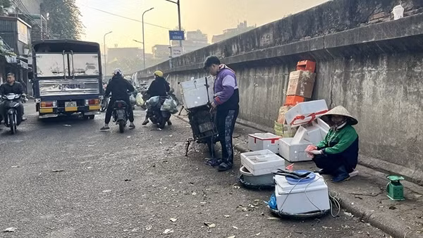 Hà Nội xóa 231 chợ cóc, tháo gỡ điểm nghẽn trật tự đô thị