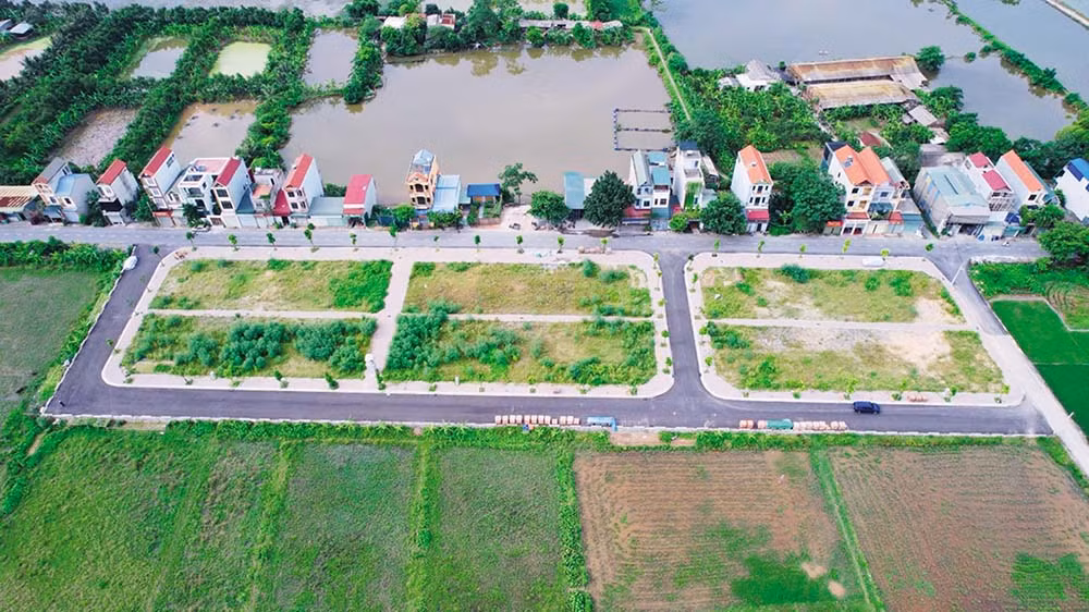 Đấu giá đất trên giấy: Tiền thật, đất ảo -1