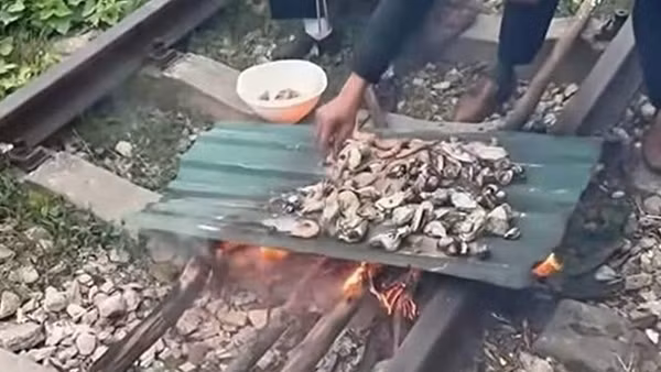 Vợ chồng đốt củi nướng thịt cá trên đường sắt, con gái quay clip tung lên mạng