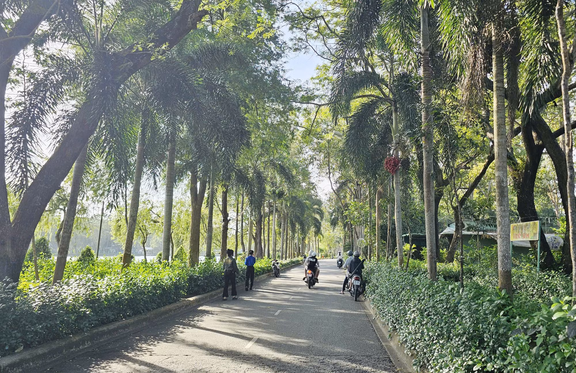 Cơ quan CSĐT đã thụ lý vụ chặt hạ cây xanh ở công viên hồ Nước Ngọt -0