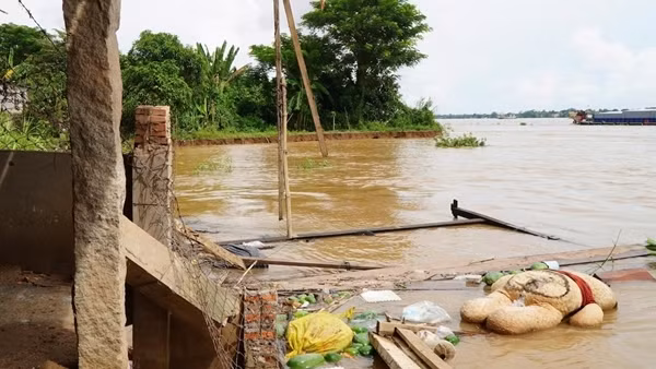 Đồng Tháp: Sạt lở bờ sông Tiền, gây ảnh hưởng đến 11 hộ dân