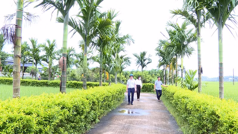 Nông thôn mới làm thay đổi diện mạo nhiều vùng quê xứ Thanh -0