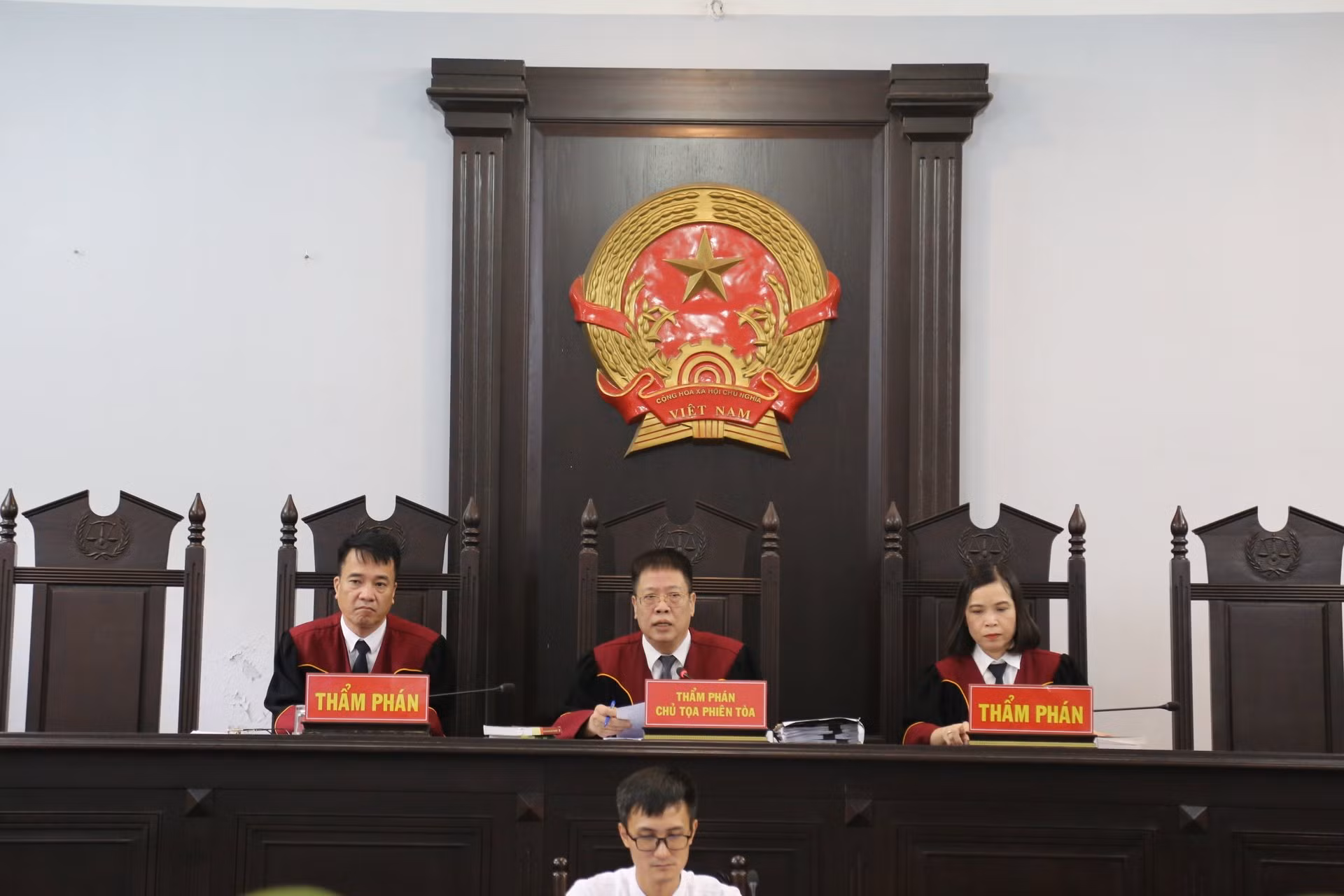 Vụ án “gà lôi trắng”: Miễn trách nhiệm hình sự cho người nuôi và bán 13 con gà , miễn hình phạt bổ sung -0