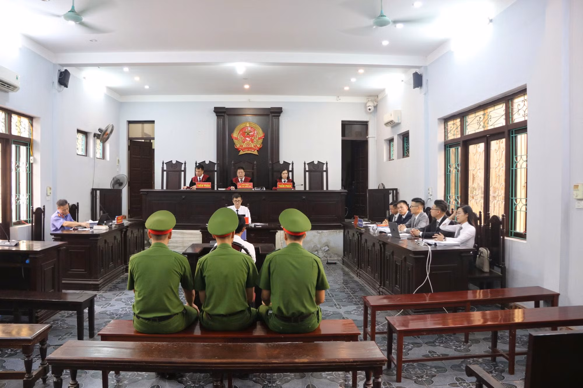 Vụ án “gà lôi trắng”: Miễn trách nhiệm hình sự cho người nuôi và bán 13 con gà , miễn hình phạt bổ sung -0