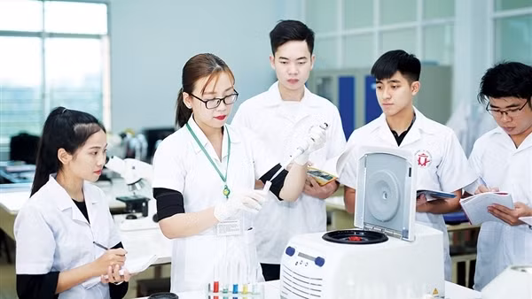 Sắp xếp các trường đại học phải minh bạch, khoa học, tránh duy ý chí