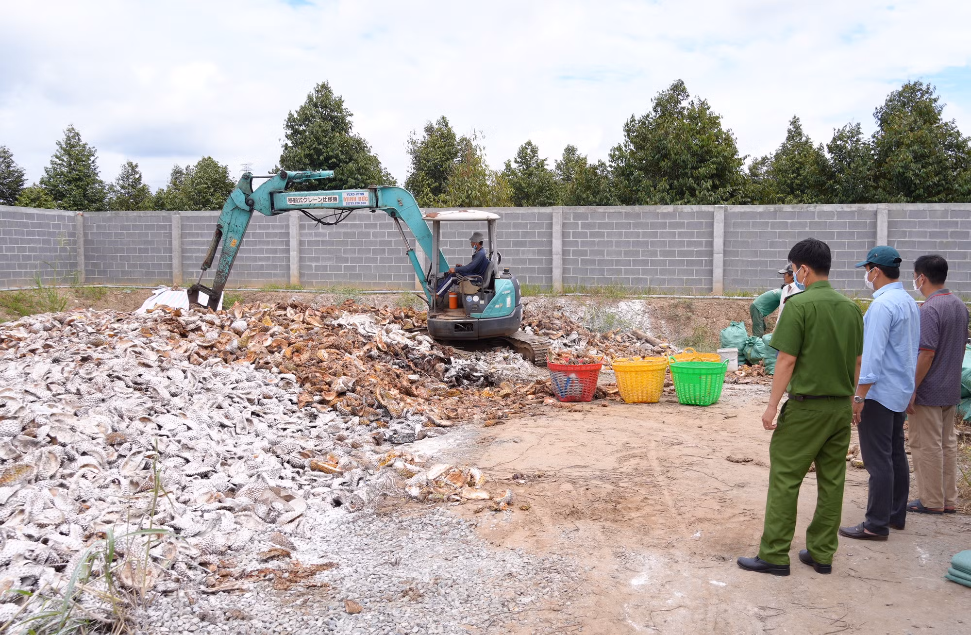 dau_tranh_2-1760318903407.jpg