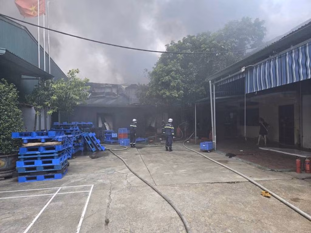 1 người tử vong trong vụ tai nạn lao động tại Công ty TNHH xuất nhập khẩu thủ công mỹ nghệ Minh Long -0