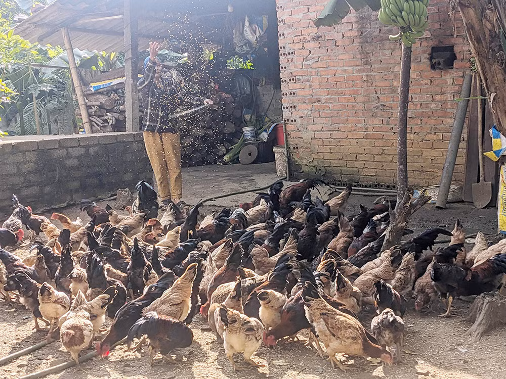 Đề án 1719 làm đổi thay vùng đồng bào dân tộc thiểu số miền núi Thanh Hóa -0