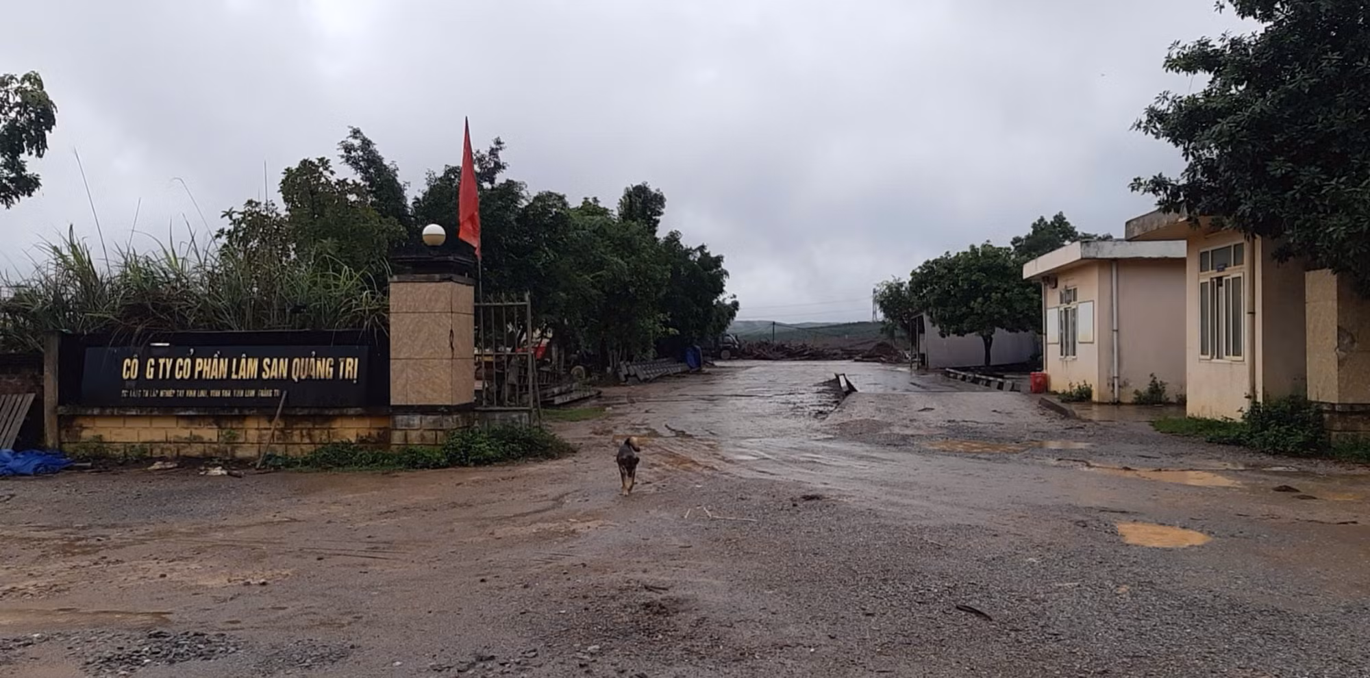 Vì sao cao tốc Vạn Ninh – Cam Lộ qua Quảng Trị còn vướng mặt bằng? -0