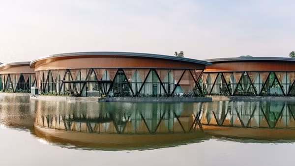 LAMORI đặc sắc trong từng nét họa